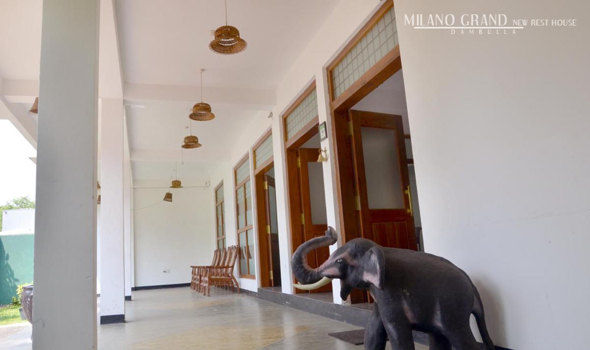 Hotel Milano Grand Dambulla Esterno foto
